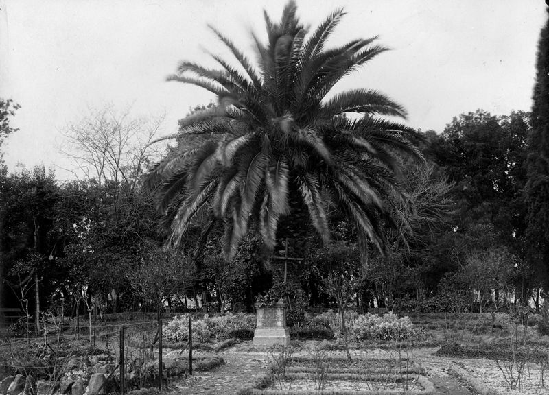 005975 - monumento - Palatino, Horti Farnesiani: la tomba di Giacomo Boni