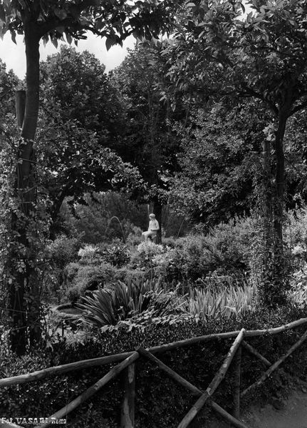 005979 - monumento - Palatino, Horti Farnesiani: i giardini