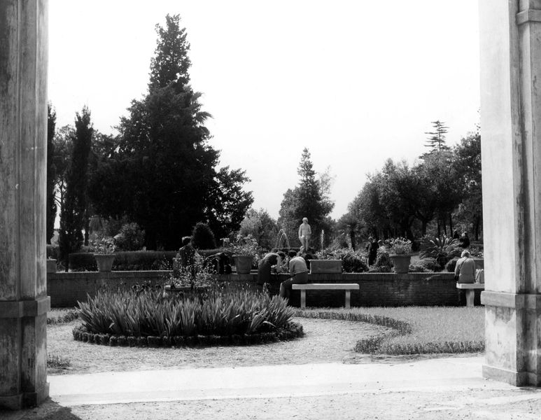 005983 - monumento - Palatino, Horti Farnesiani: i giardini, la zona davanti le Uccelliere (marzo 1967)
