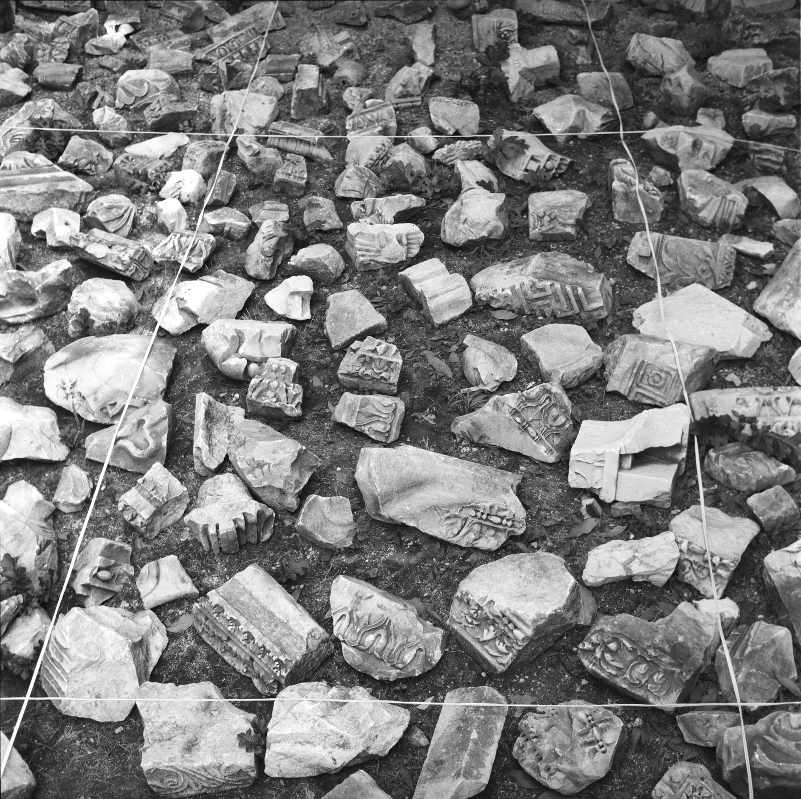 film_00110-014.tif
