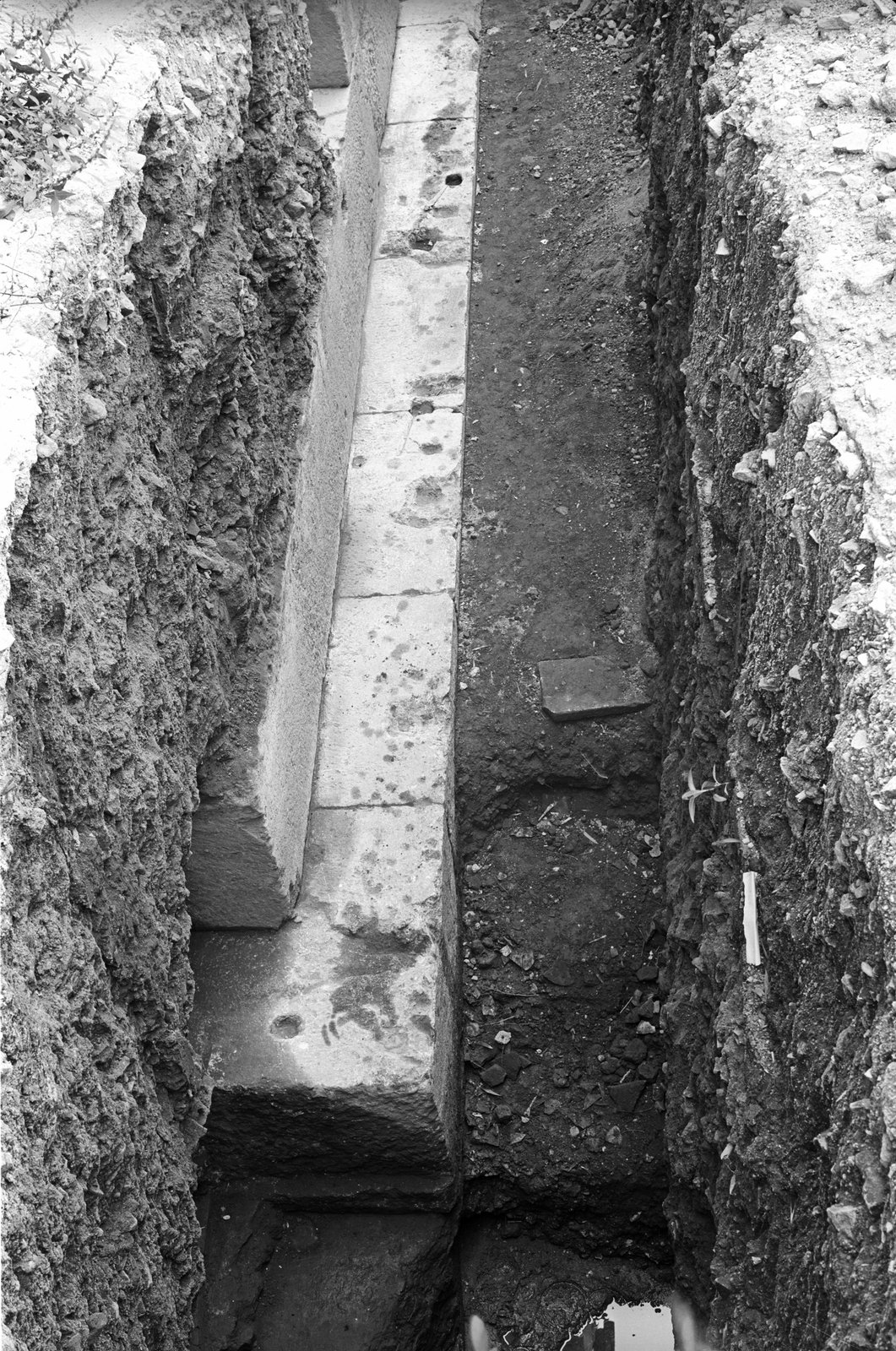 film_00115-103.tif