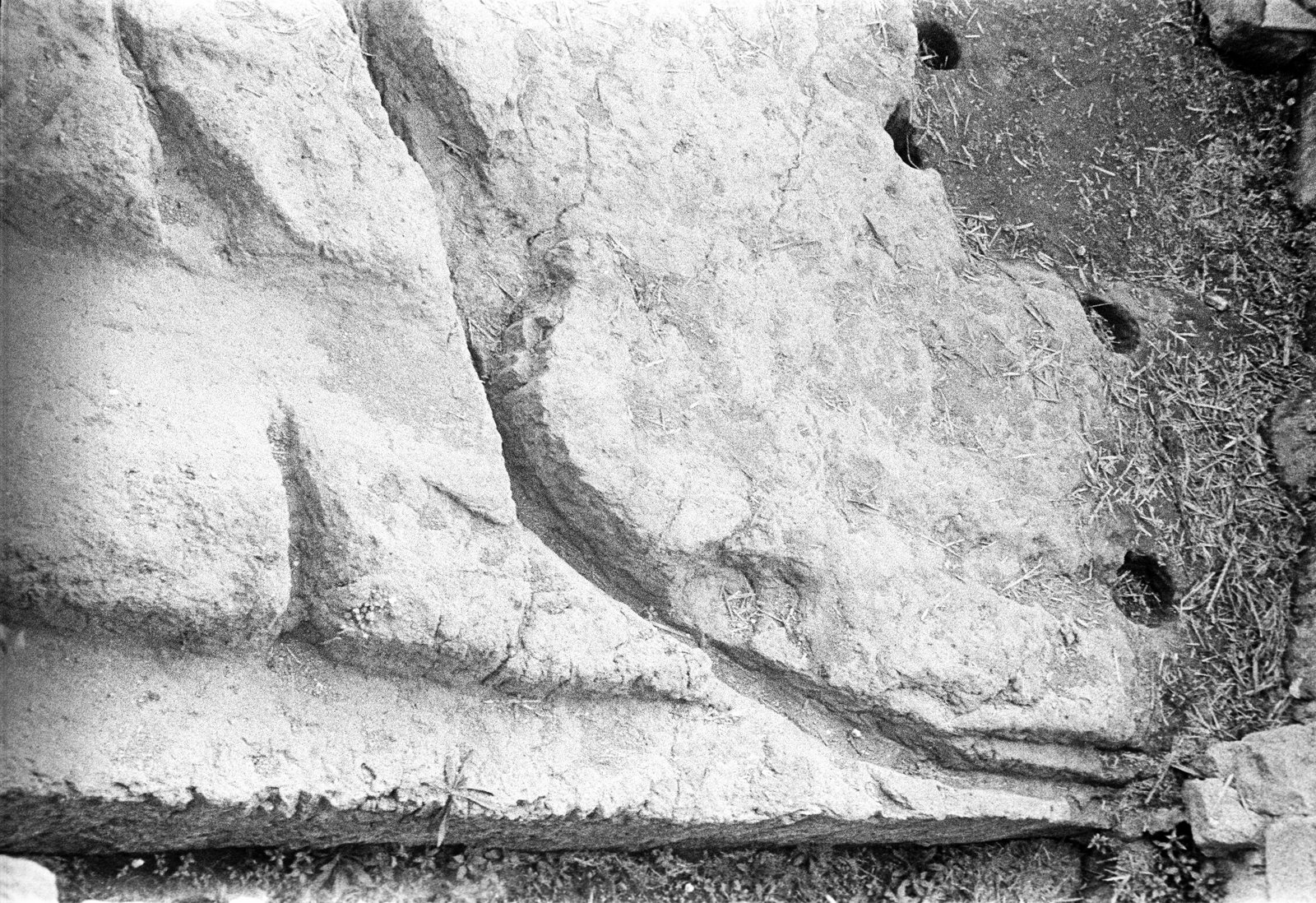 film_00116-029.tif