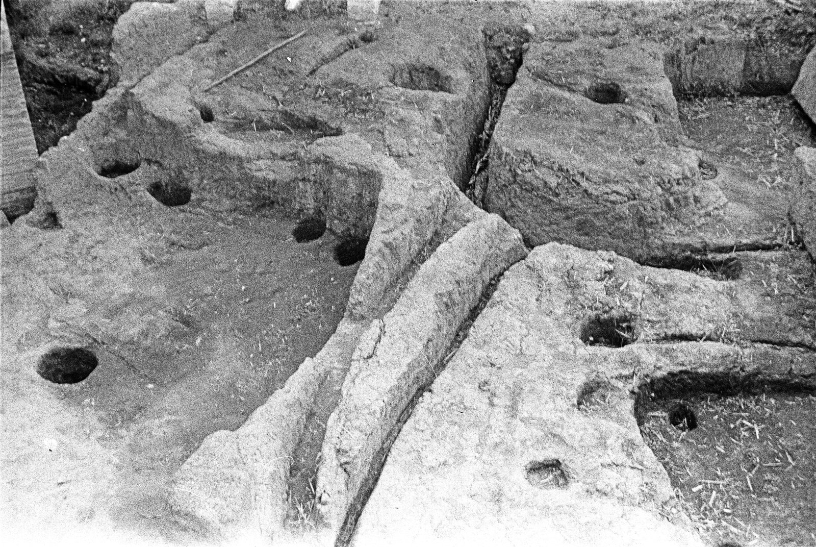 film_00116-033.tif