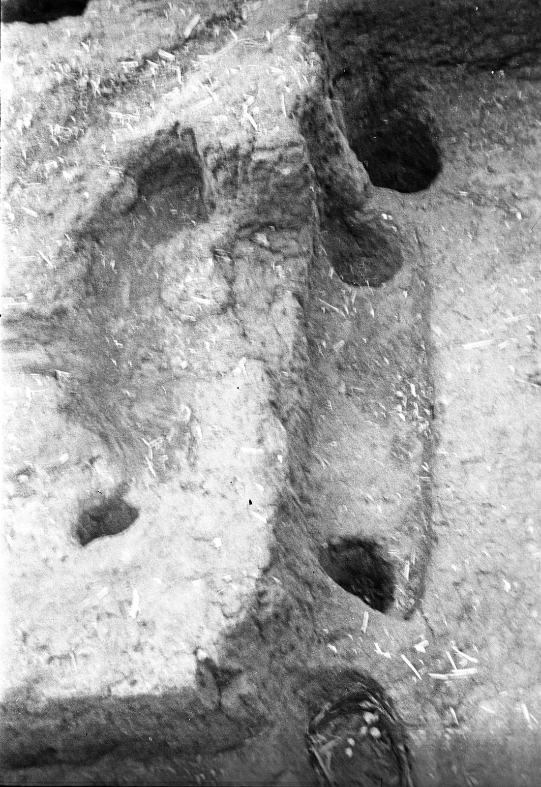 film_00116-103.tif