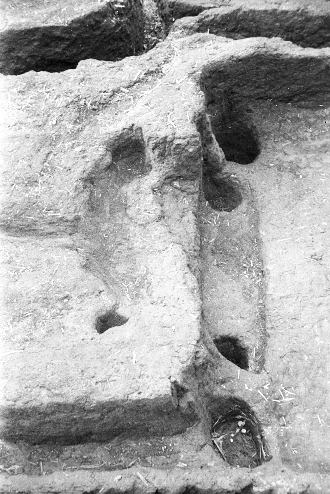 film_00116-105.tif