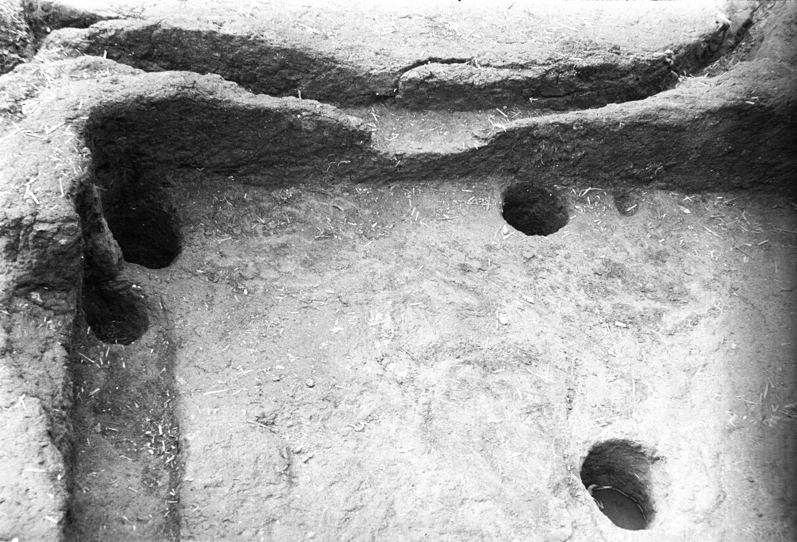 film_00116-106.tif