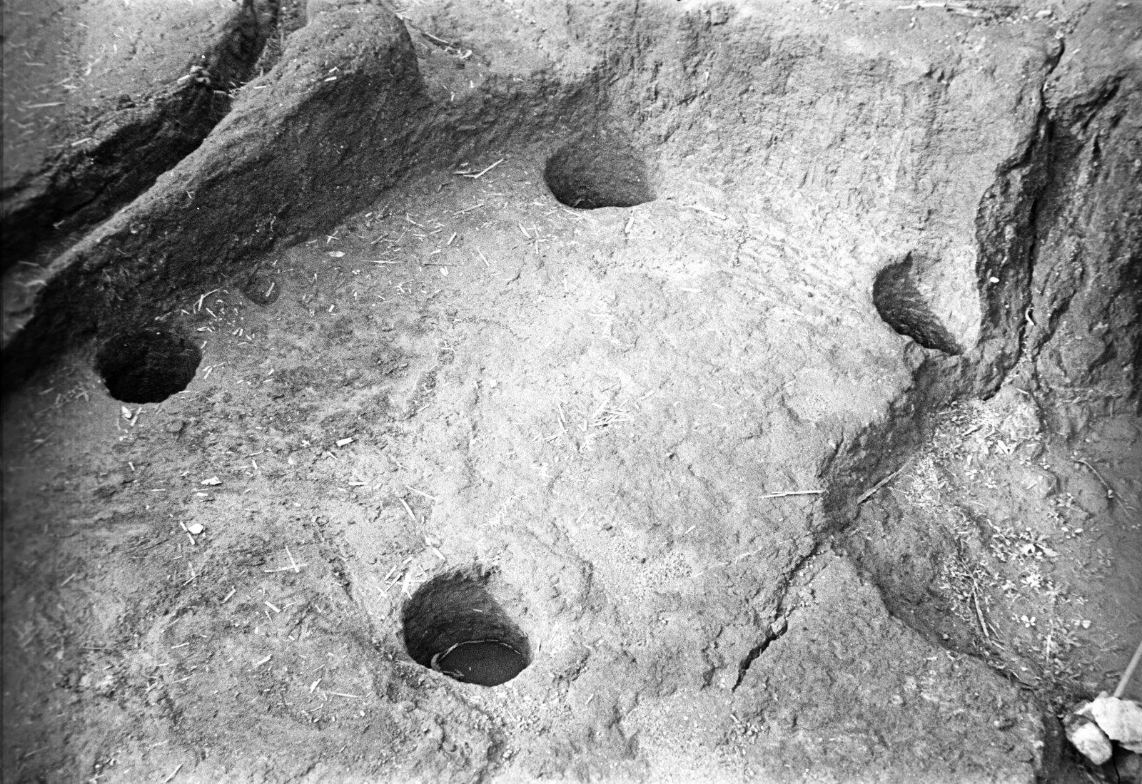 film_00116-109.tif