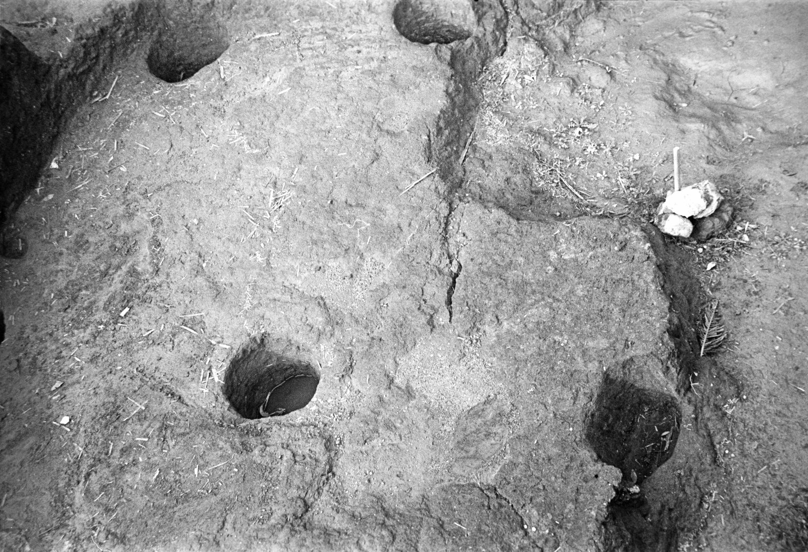 film_00116-110.tif