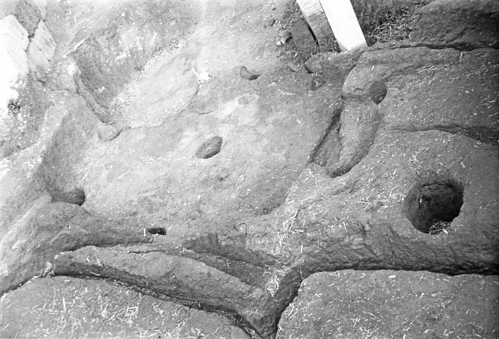 film_00116-112.tif