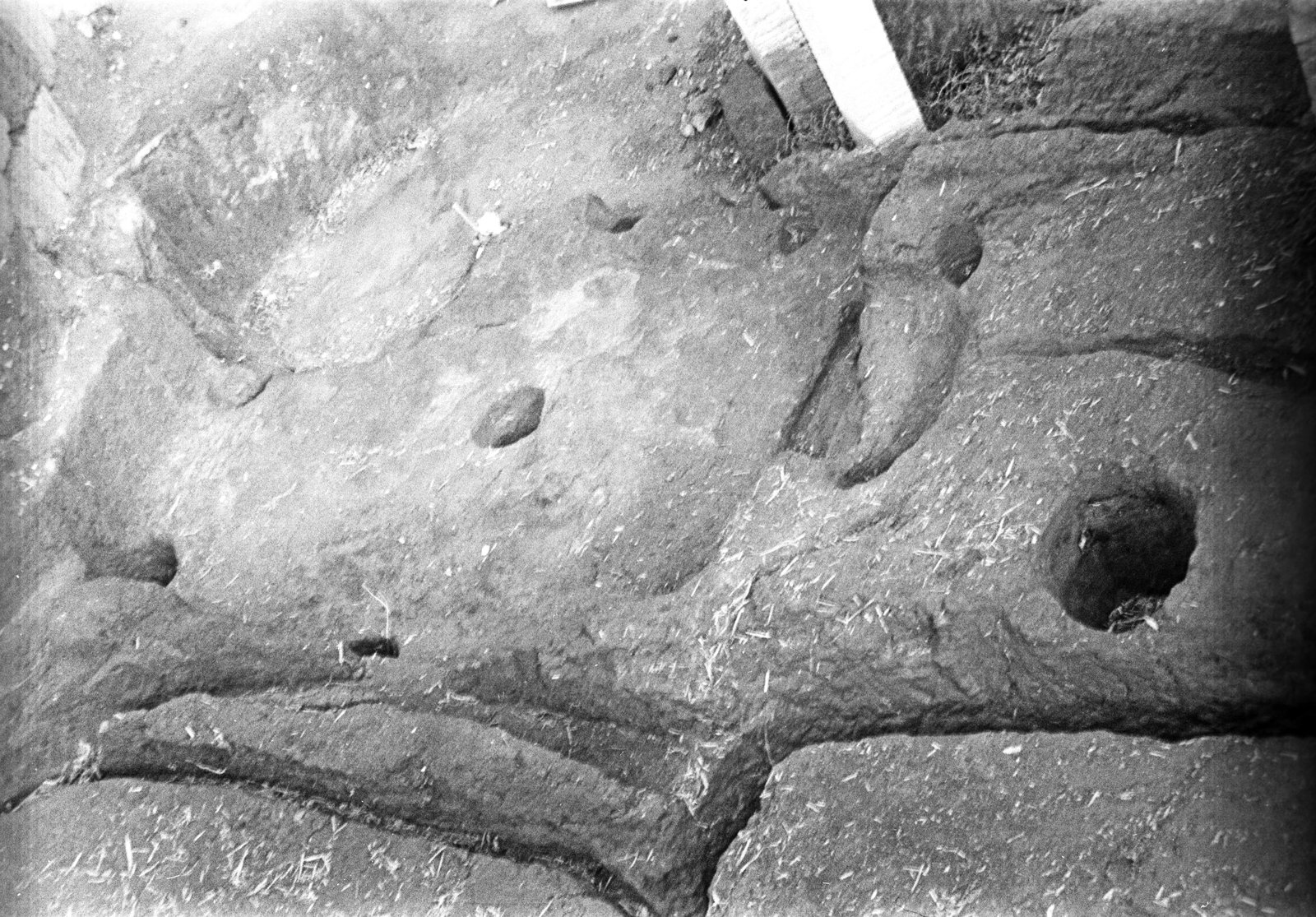 film_00116-114.tif