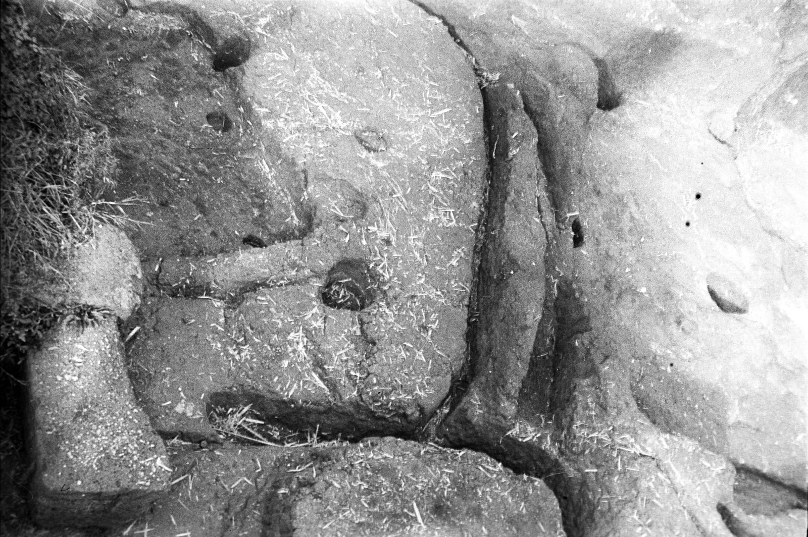 film_00116-119.tif
