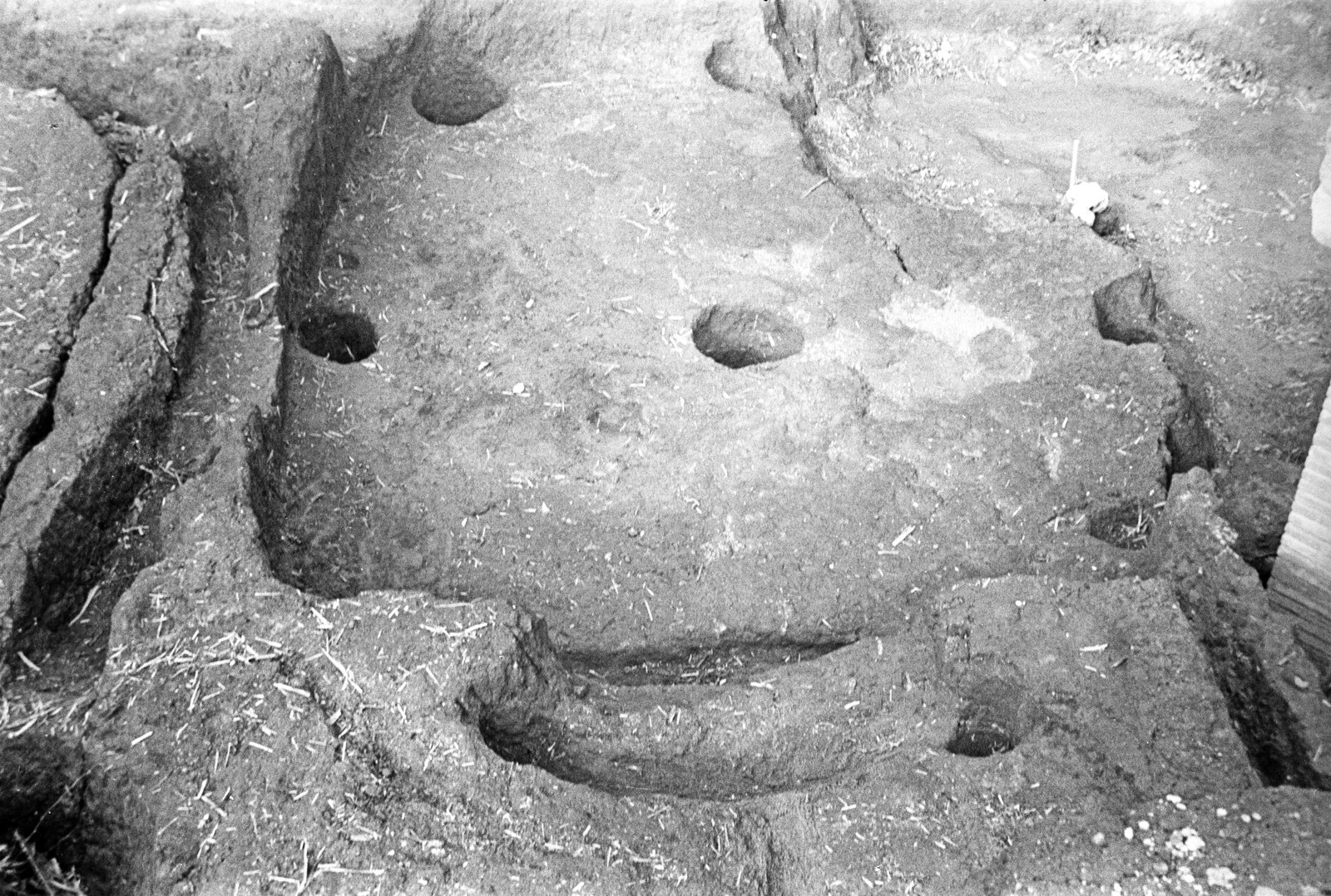 film_00116-124.tif