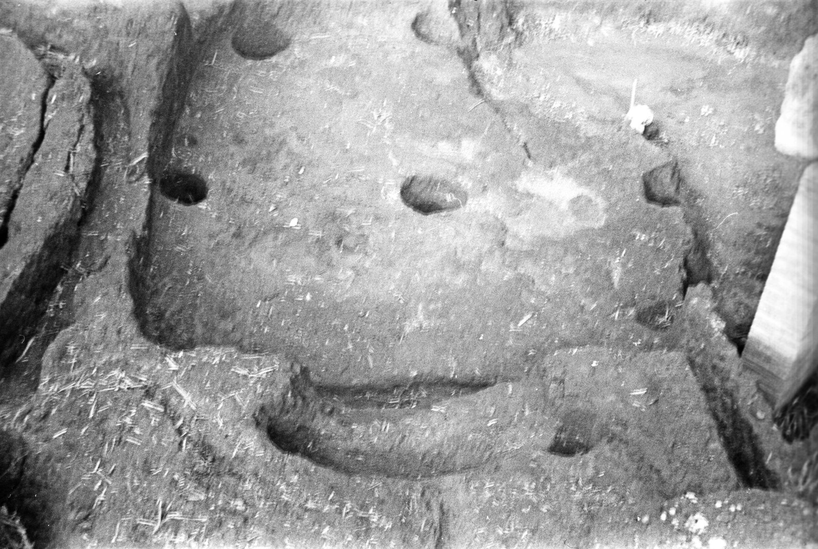 film_00116-125.tif