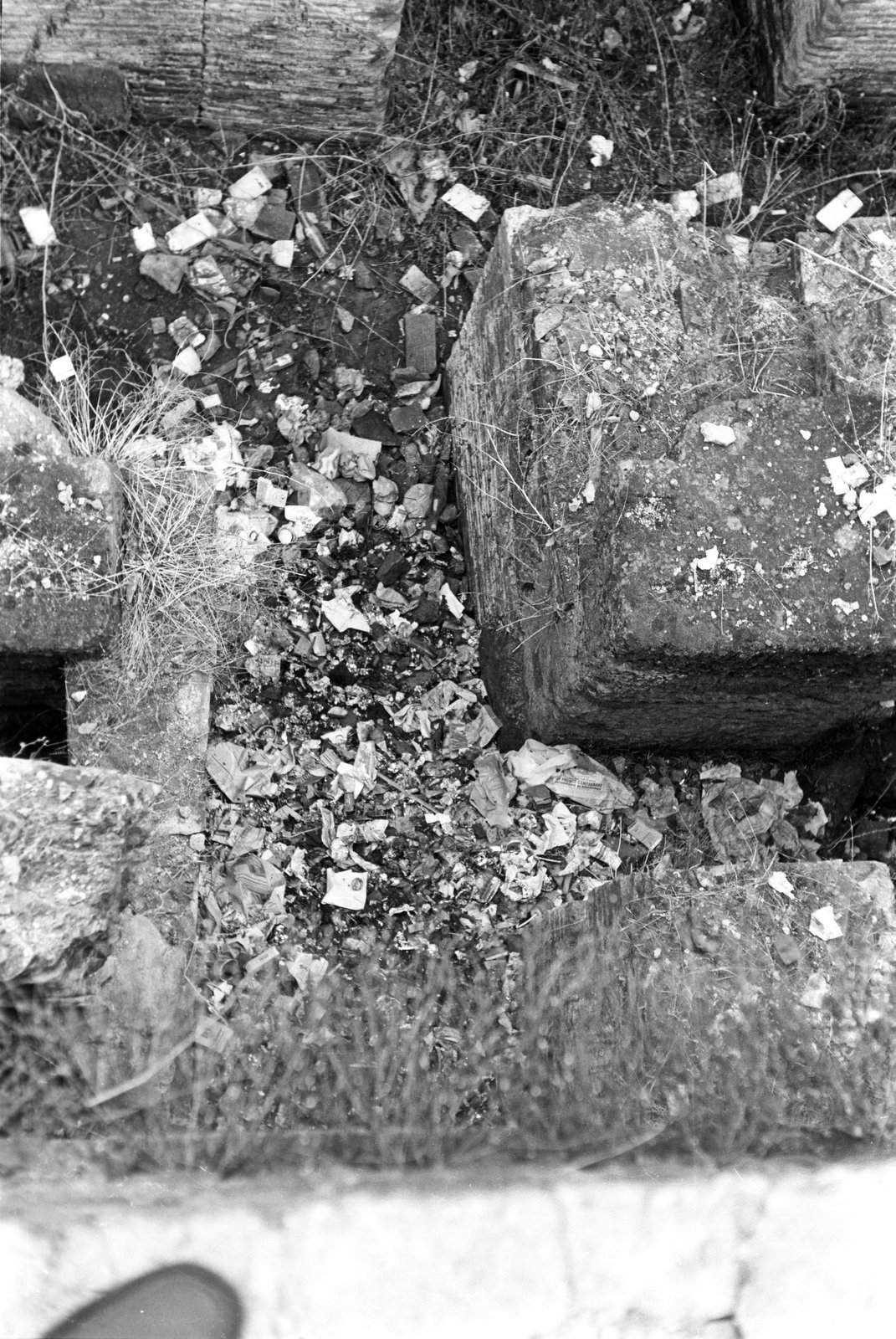 film_00117-009.tif