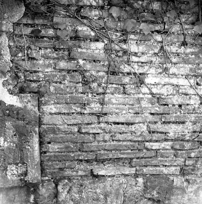 film_00126-016.tif