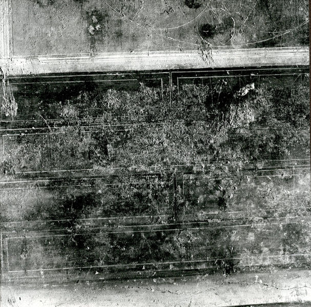 001939 - reperto - Casa di Augusto, ambiente 12, c.d. della rampa: pittura parietale in secondo stile pompeiano, su supporti. 
Bibliografia: Musatti, G. "Casa di Augusto sul Palatino. L'intervento di restauro e considerazioni sulla decorazione pittorica" in Bollettino d'Arte 2, aprile-giugno 2009 (serie VII) pp. 21 e ss. /  Iacopi, I. "La Casa di Augusto, le pitture" Electa 2007 

Neg. serie 6x6  nÂ° E 4435