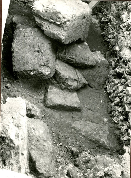 002041 - scavo archeologico - Casa di Augusto, cubicolo inferiore, scavi dell'ambiente con relativa scoperta delle pitture, durante la campagna di scavo del 1975-1976 condotta dal Dr. G. Carettoni. 
Neg. serie Film nÂ° 423