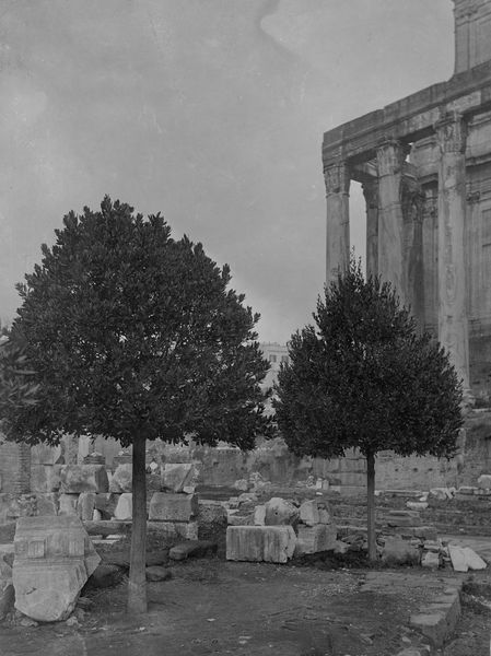 016104 - monumento - Allori all'ingresso; Neg. Serie E, Nr. 539, C, Nr. 438