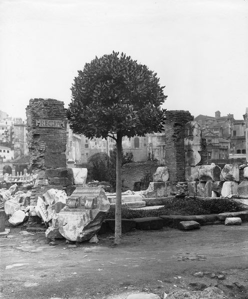 016105 - monumento - Veduta ingresso; Neg. Serie C, Nr. 270