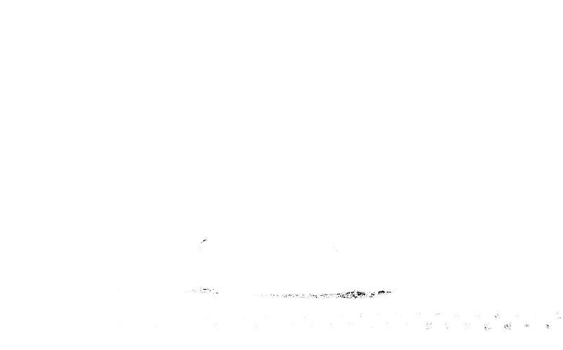 film_0132-36.tif