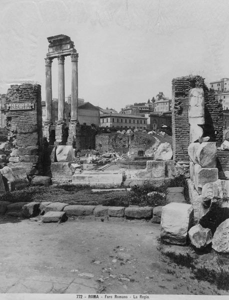 016100 - monumento - Veduta ingrasso; Neg. Serie F, Nr. 2763