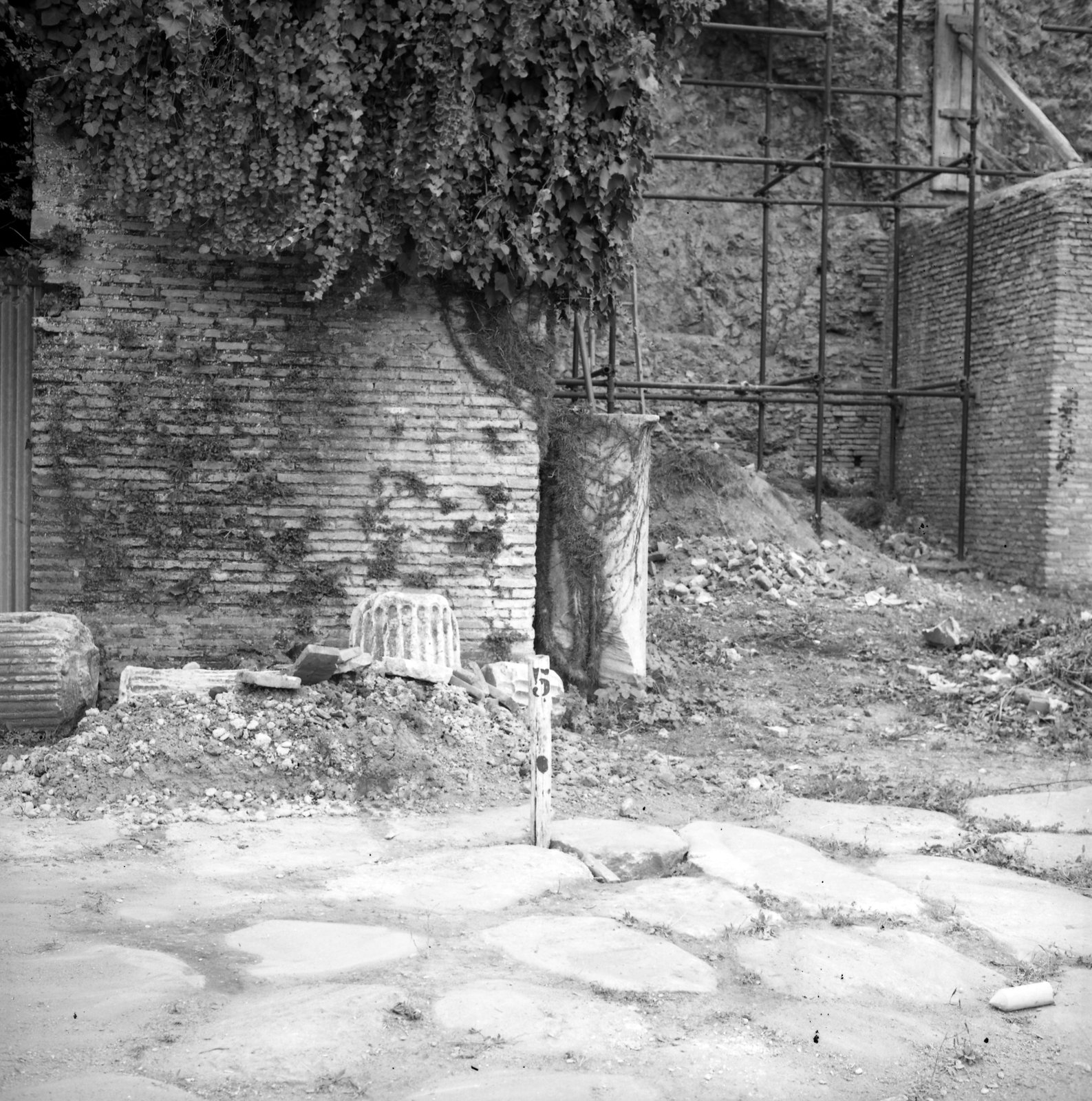 film_00192-001.tif