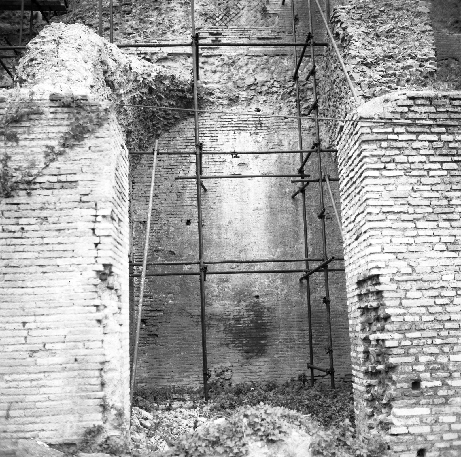 film_00192-008.tif