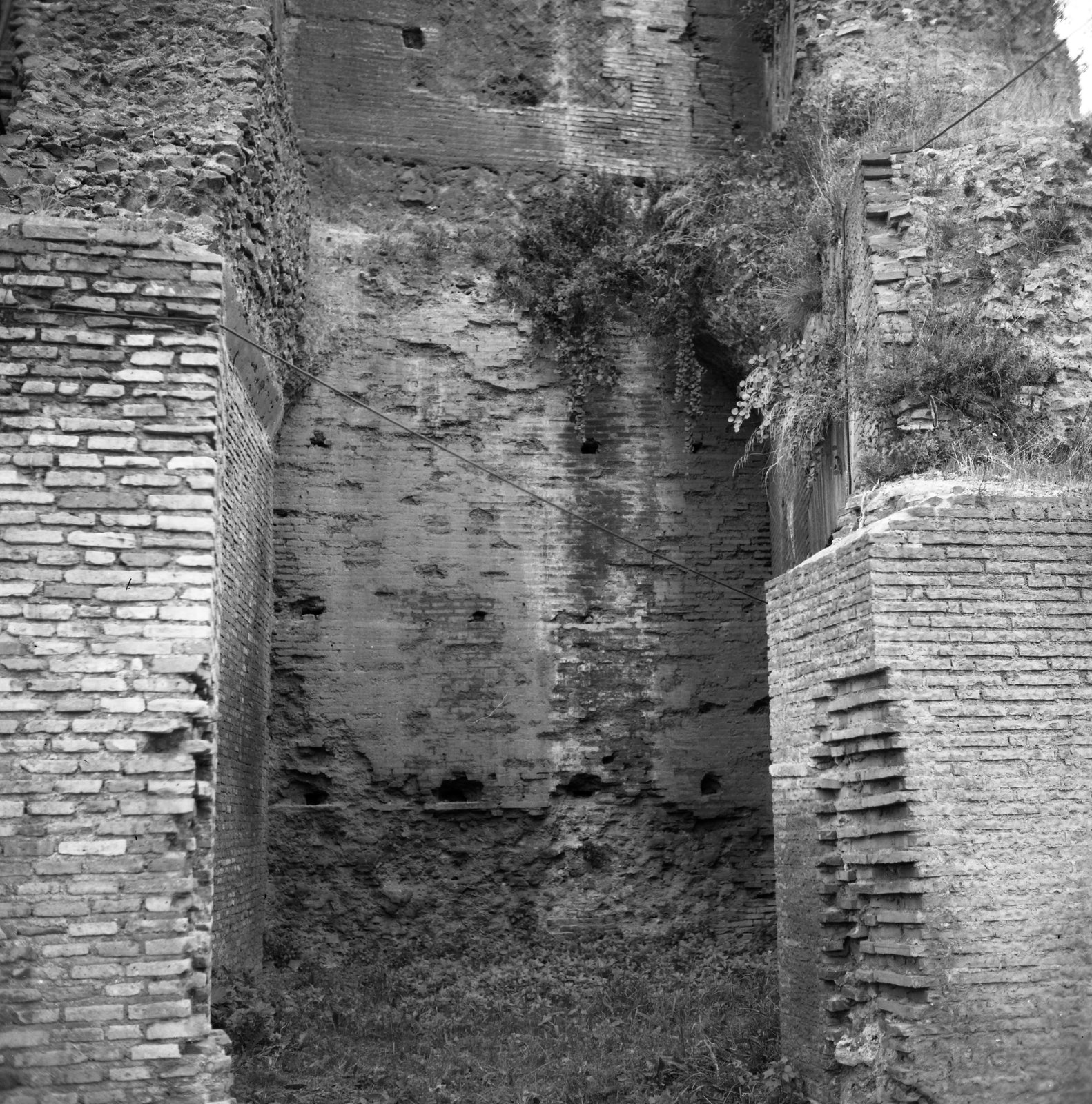 film_00192-009.tif