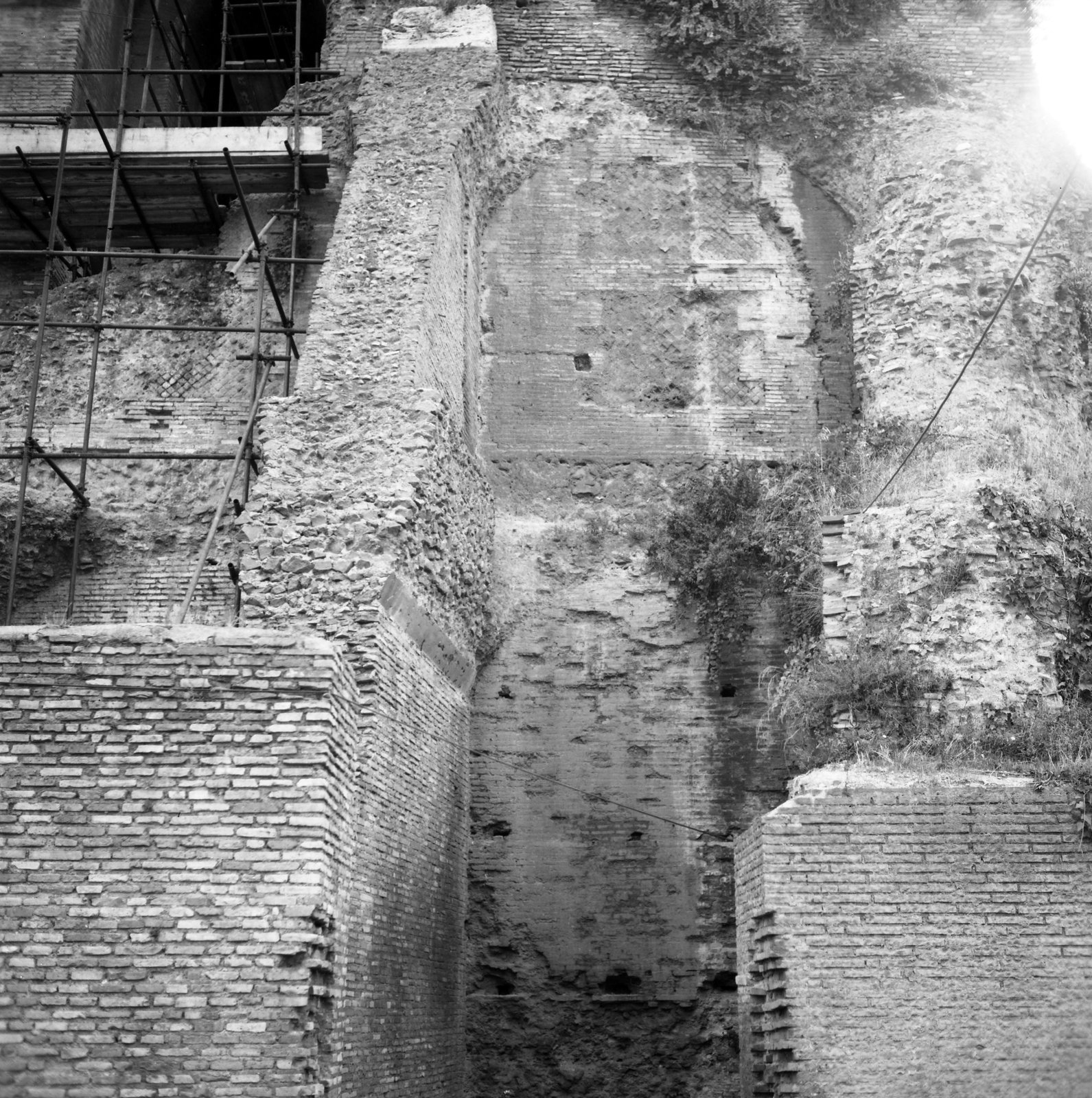 film_00192-010.tif