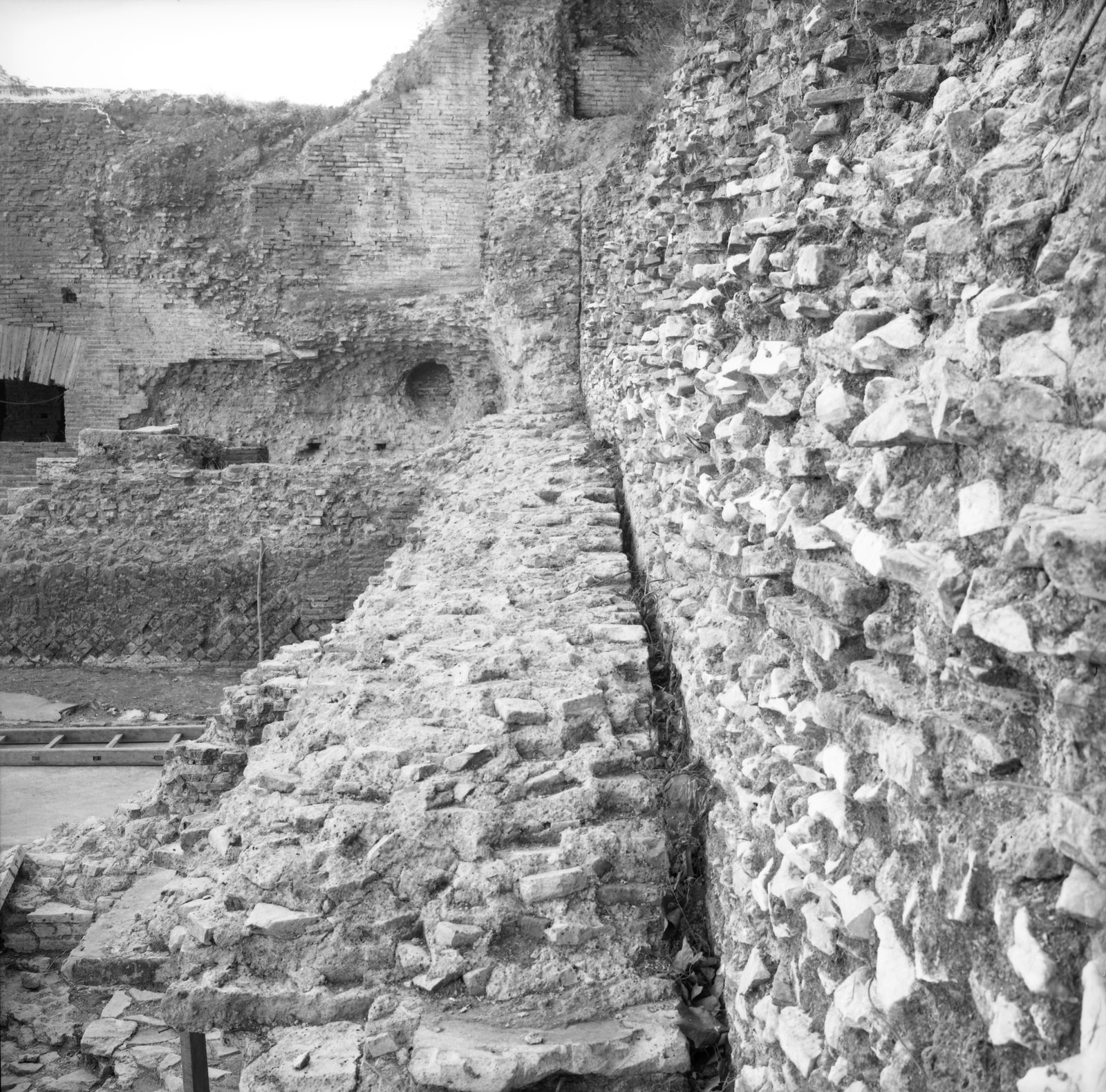 film_00195-005.tif