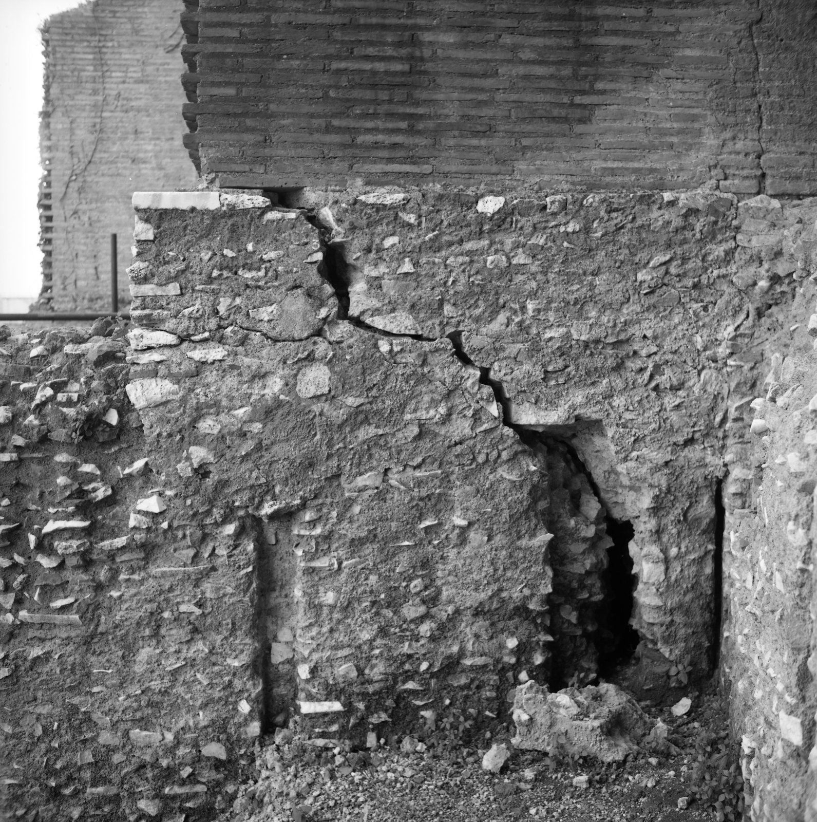 film_00196-007.tif