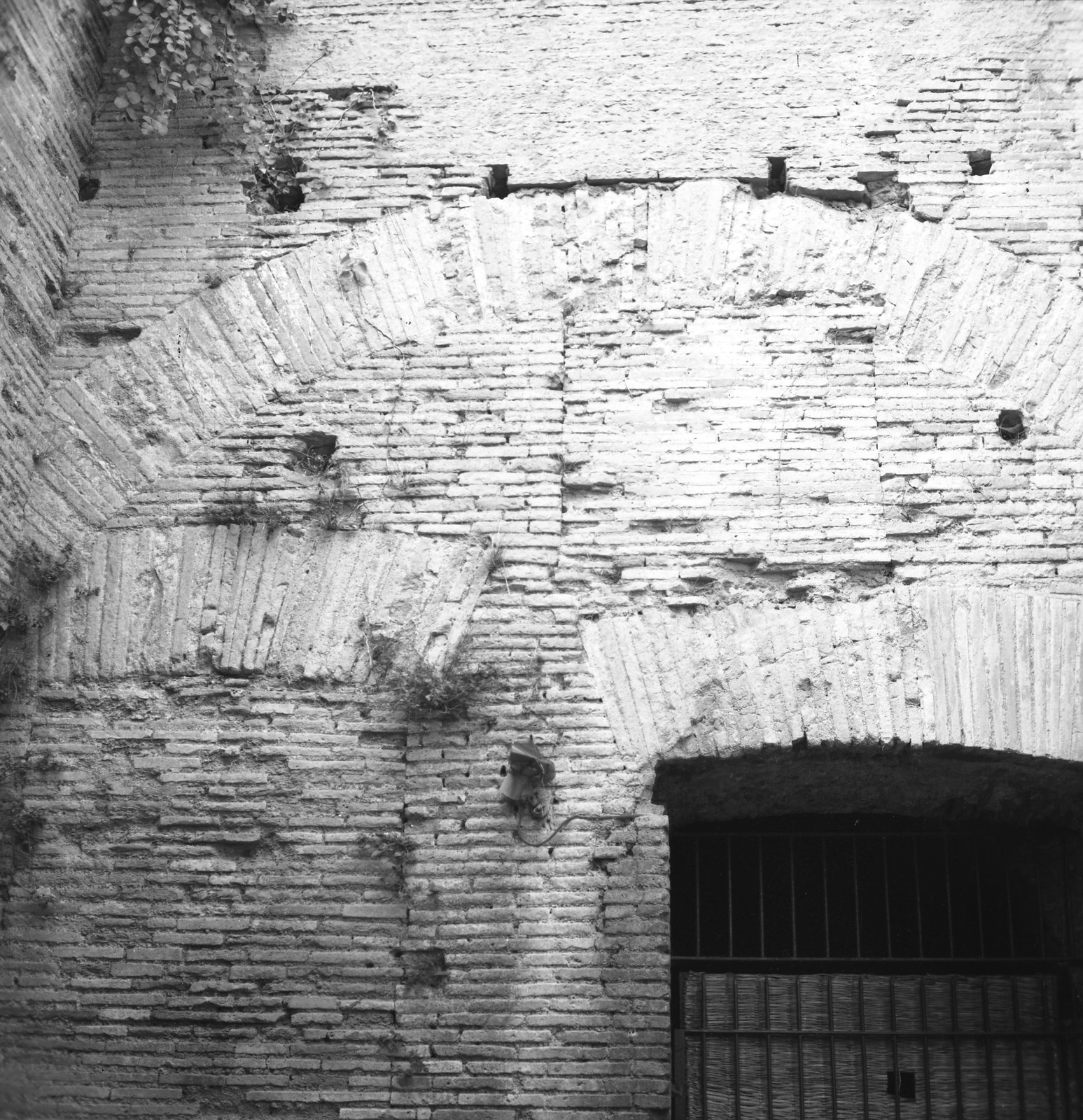 film_00197-004.tif
