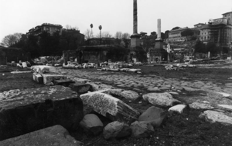 016147 - reperto - Ricognizione dei materiali archeologici nell'area (1991); Neg. Serie Film, Nr. 2543