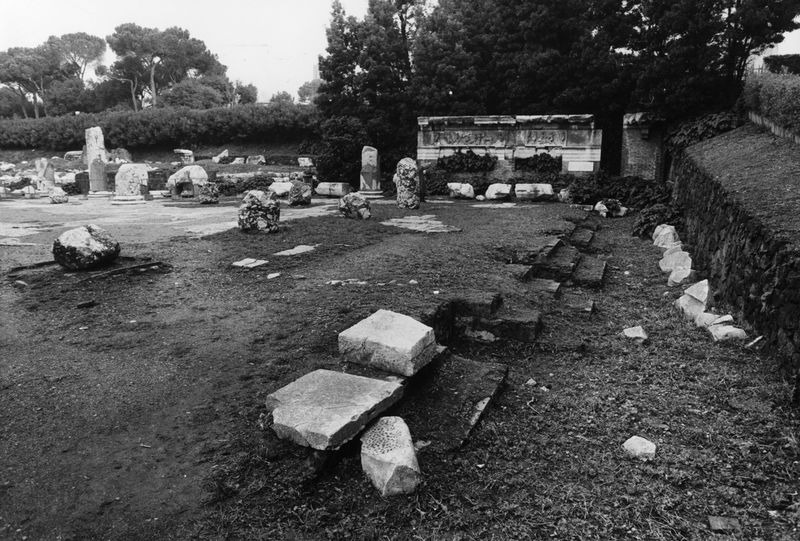 016149 - reperto - Ricognizione dei materiali archeologici nell'area (1991); Neg. Serie Film, Nr. 2542