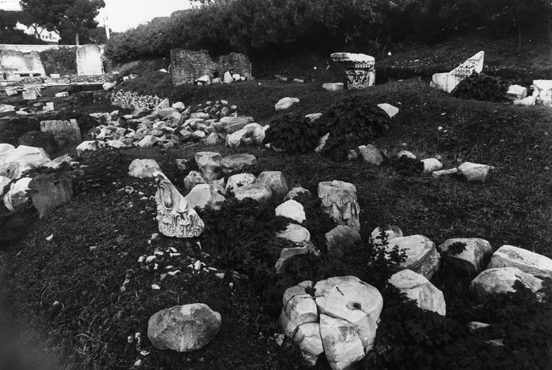 016153 - reperto - Ricognizione dei materiali archeologici nell'area (1991); Neg. Serie Film, Nr. 2542