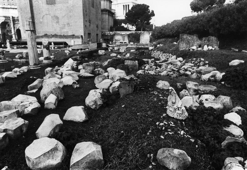 016154 - reperto - Ricognizione dei materiali archeologici nell'area (1991); Neg. Serie Film, Nr. 2542