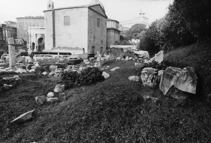 016156 - reperto - Ricognizione dei materiali archeologici nell'area (1991); Neg. Serie Film, Nr. 2542