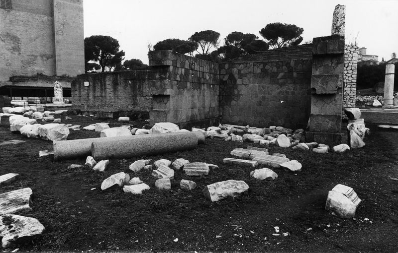 016158 - reperto - Ricognizione dei materiali archeologici nell'area (1991); Neg. Serie Film, Nr. 2543