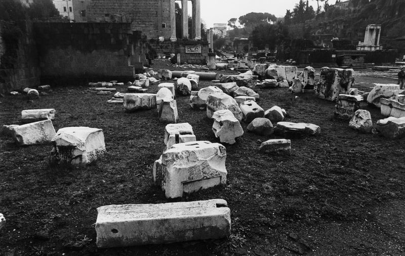 016159 - reperto - Ricognizione dei materiali archeologici nell'area (1991); Neg. Serie Film, Nr. 2543