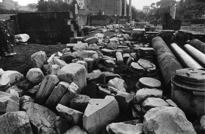 016160 - reperto - Ricognizione dei materiali archeologici nell'area (1991); Neg. Serie Film, Nr. 2543