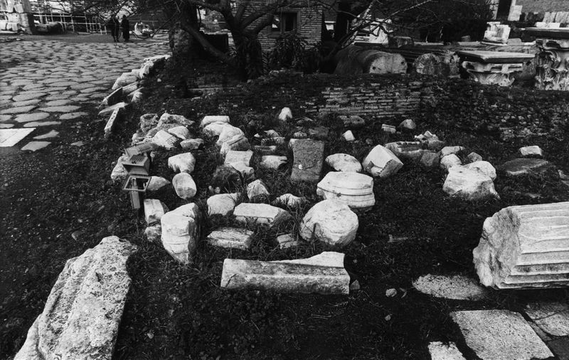 016161 - reperto - Ricognizione dei materiali archeologici nell'area (1991); Neg. Serie Film, Nr. 2543
