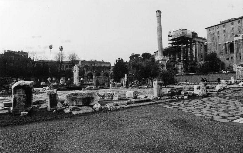 016163 - reperto - Ricognizione dei materiali archeologici nell'area (1991); Neg. Serie Film, Nr. 2543
