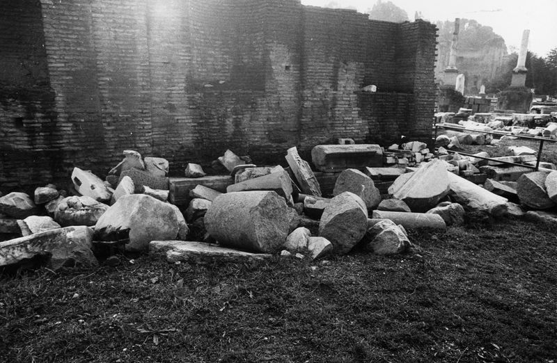 016166 - reperto - Ricognizione dei materiali archeologici nell'area (1991); Neg. Serie Film, Nr. 2543