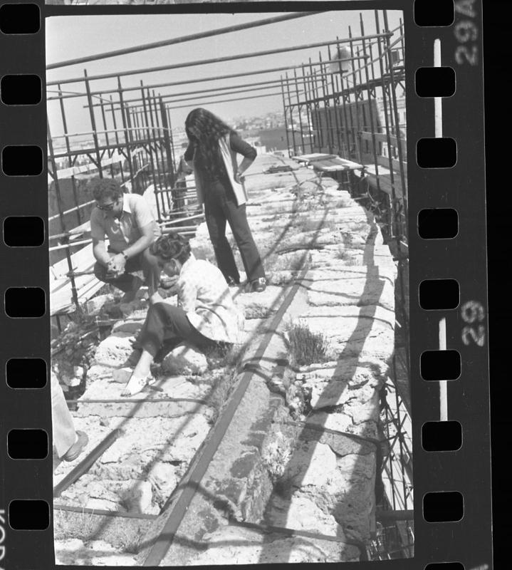 DT256.jpg