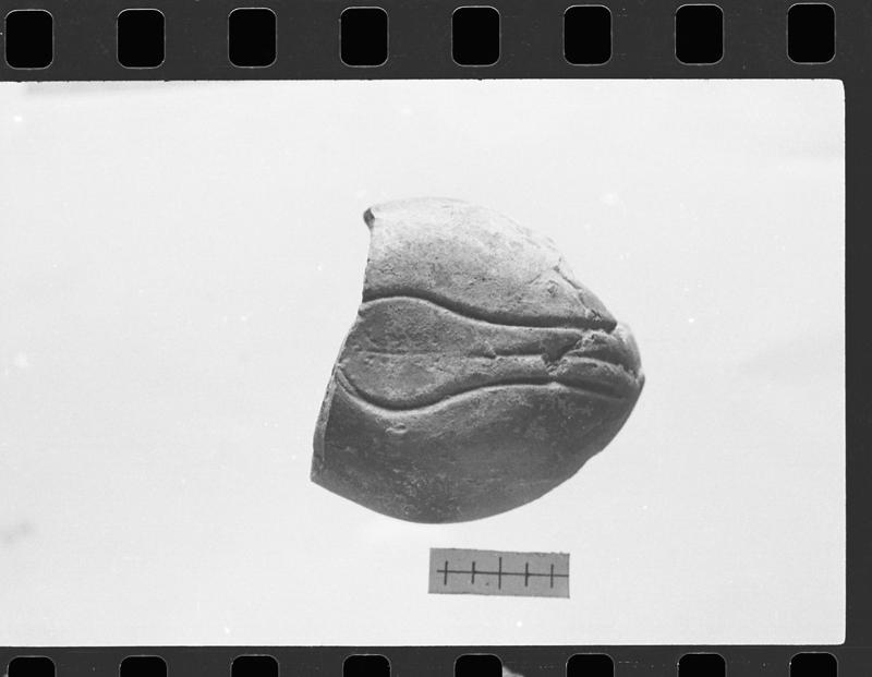 DT306.jpg