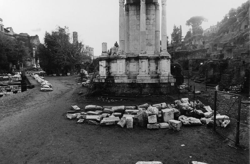 016170 - reperto - Ricognizione dei materiali archeologici nell'area (1991); Neg. Serie Film, Nr. 2543