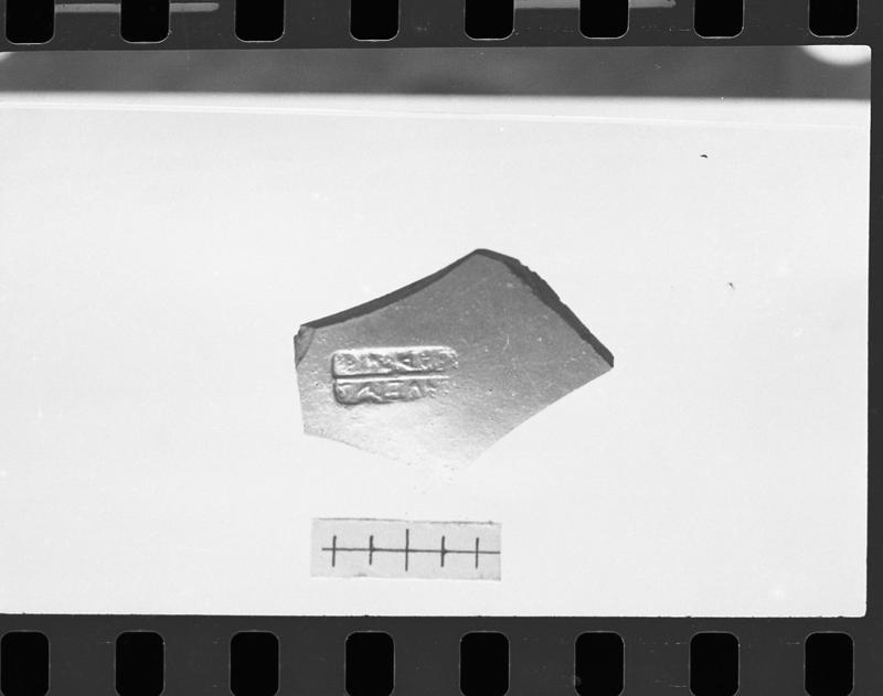 DT310.jpg