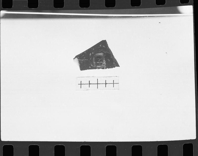DT331.jpg