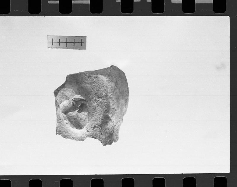 DT333.jpg