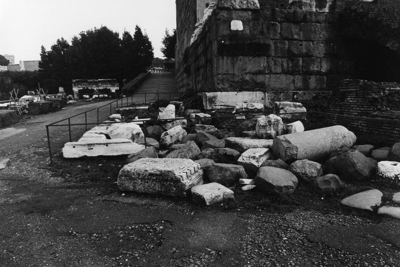 016174 - reperto - Ricognizione dei materiali archeologici nell'area (1991); Neg. Serie Film, Nr. 2542